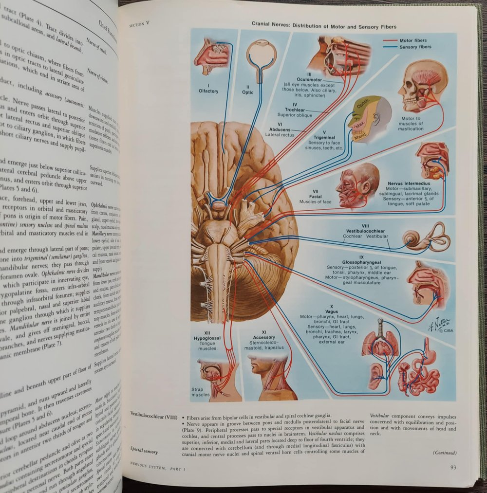 The CIBA Collection of Medical Illustrations: Volume 1 – Nervous System Part 1 – Anatomy...