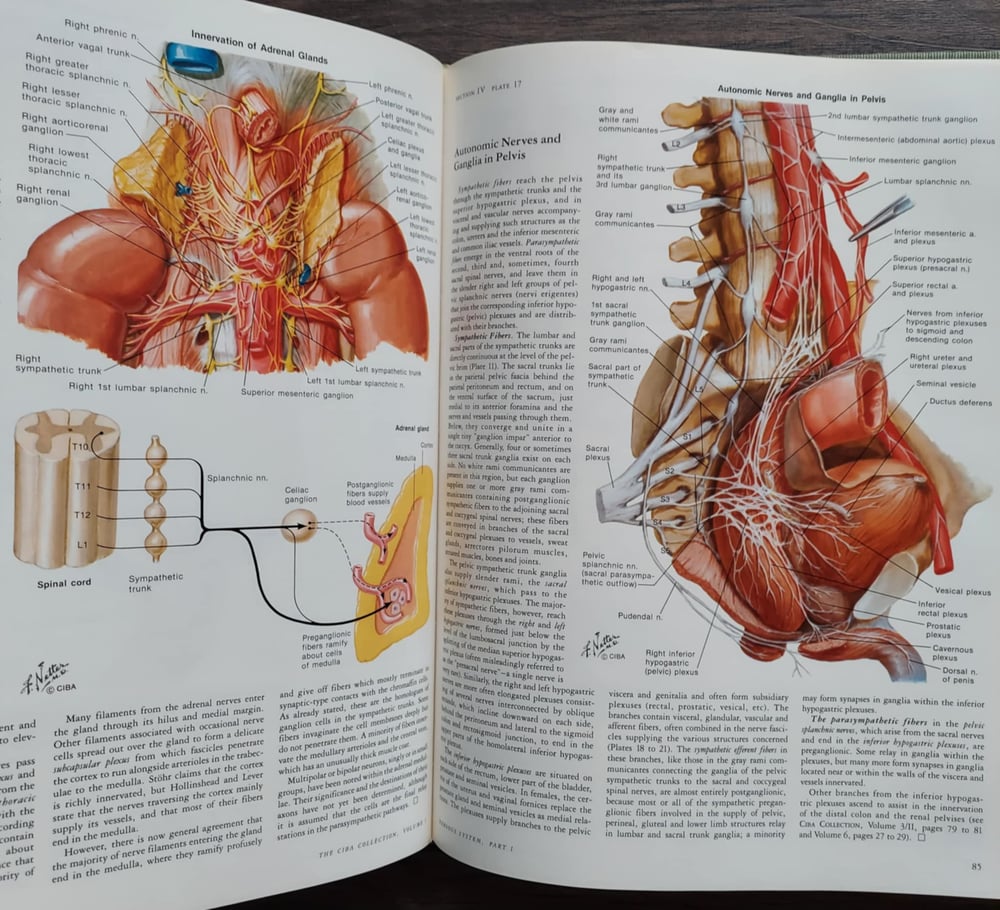 The CIBA Collection of Medical Illustrations: Volume 1 – Nervous System Part 1 – Anatomy...