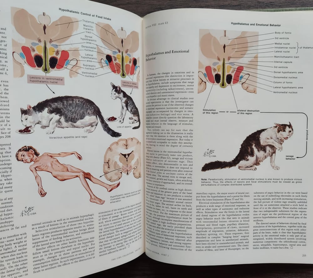 The CIBA Collection of Medical Illustrations: Volume 1 – Nervous System Part 1 – Anatomy...