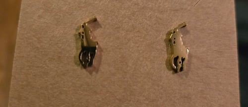 Image of Polo Style Earrings