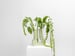 Image of Vase pale green