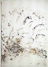 Feather and Ink Drawing (small) 2