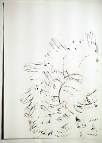 Feather and Ink Drawing (small) 3 