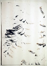 Feather and Ink Drawing (small) 4