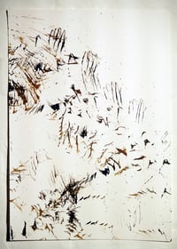 Feather and Ink Drawing (small) 5