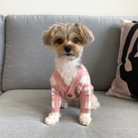 Image 2 of The Pink Knit