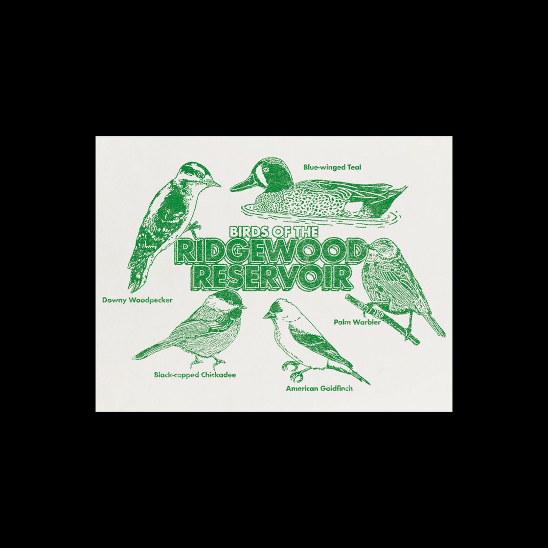 Image of Birds of the Ridgewood Reservoir Print 8.5x11
