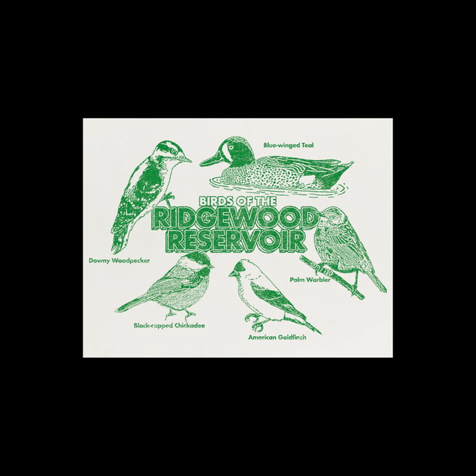 Image of Birds of the Ridgewood Reservoir Print 8.5x11