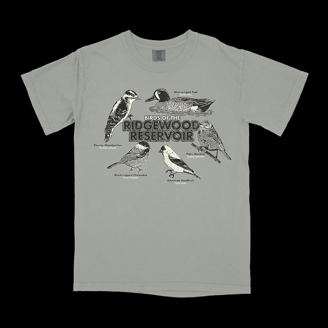 Image of Birds of the Ridgewood Reservoir T-shirt