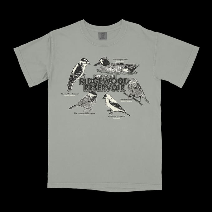 Image of Birds of the Ridgewood Reservoir T-shirt 