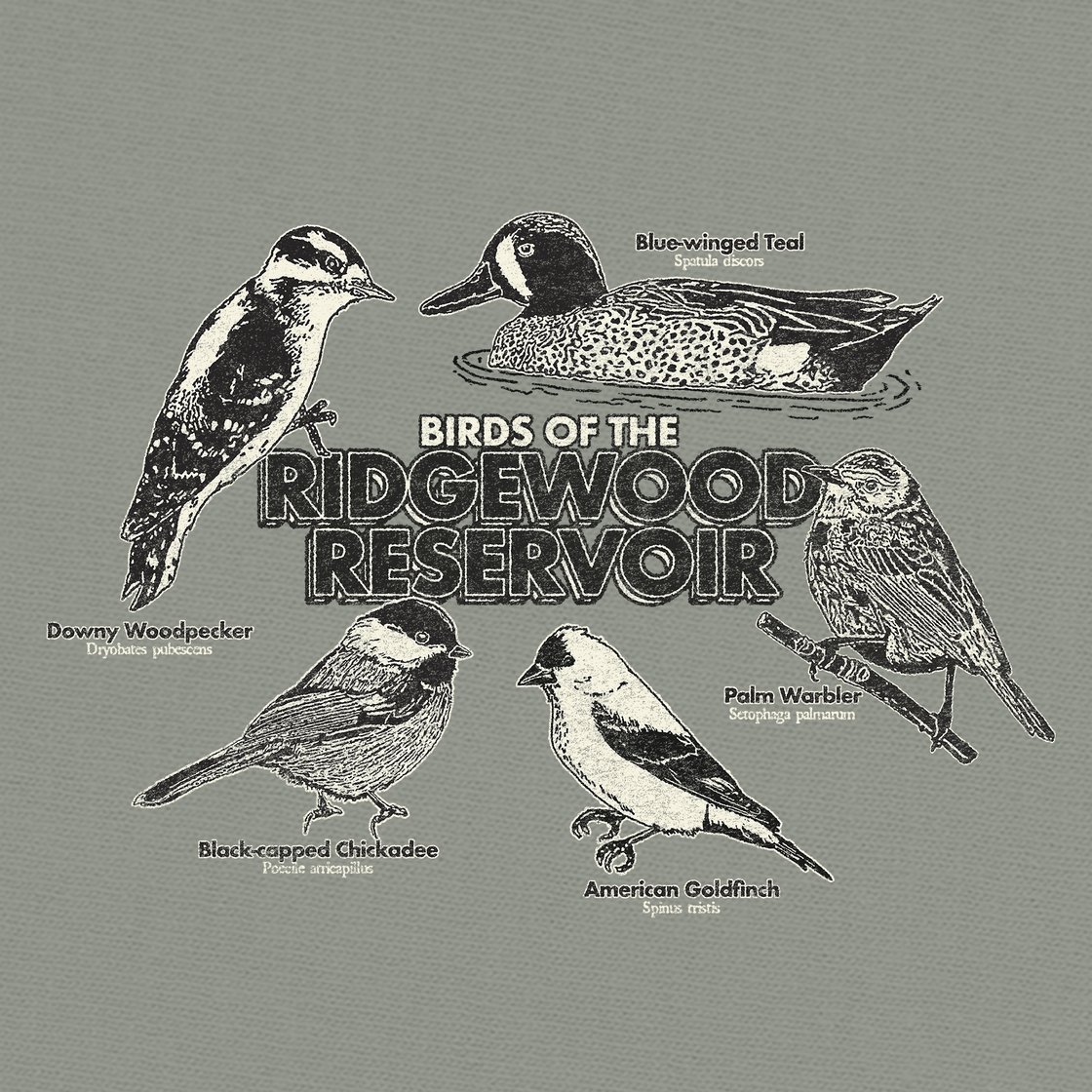 Image of Birds of the Ridgewood Reservoir Crew Neck