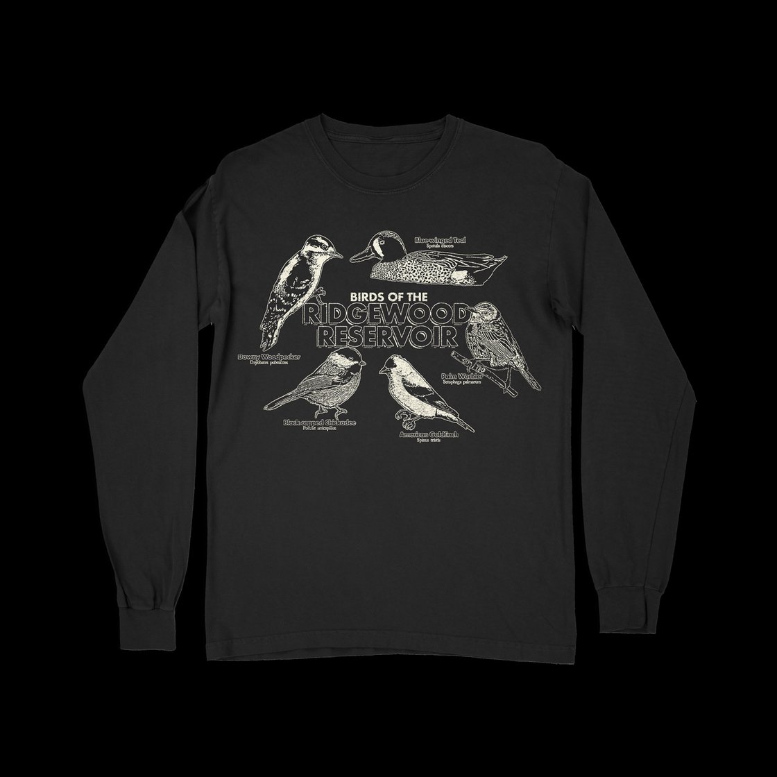 Image of Birds of the reservoir black crewneck