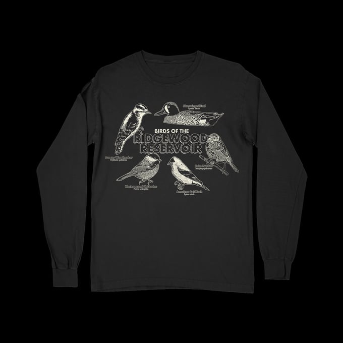 Image of Birds of the reservoir black crewneck