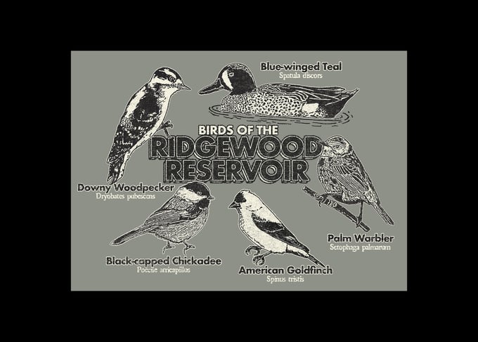 Image of Birds of the Reservoir 3 inch sticker 