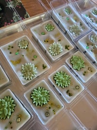 Image 14 of Serenity- (a Rockytop Wax Works exclusive houseblend fragrance)
