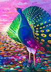 Pigeon
