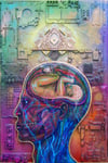 The Time Traveler
