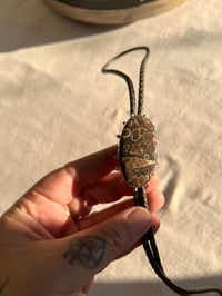 Image 1 of Fossilized Turritella Bolo Tie