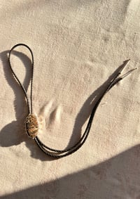 Image 2 of Fossilized Turritella Bolo Tie