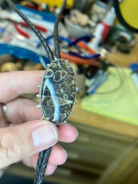 Image 4 of Fossilized Turritella Bolo Tie