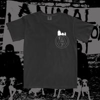 Image 3 of DAISY HILL [PRESALE]