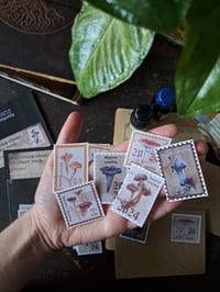 Image 2 of Mushroom stamp sticker pack