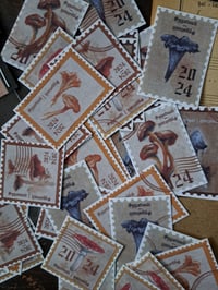 Image 3 of Mushroom stamp sticker pack