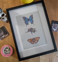 Image 1 of Framed Steampunk Bee and Butterflies print