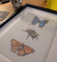 Image 3 of Framed Steampunk Bee and Butterflies print