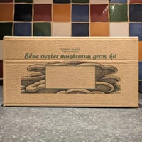Image 2 of Blue Oyster Mushroom Grow Kit