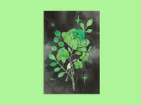 Image 1 of POSTCARD - Green Flowers