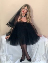 Image 6 of Tulle Dress and Veil Set