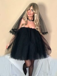 Image 7 of Tulle Dress and Veil Set