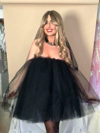Image 9 of Tulle Dress and Veil Set