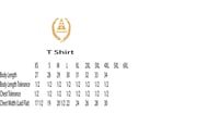 Image 4 of The Black Knight of I Am The Throne | Metallic Gold | Hoodie + T Shirt +  Gym Bag