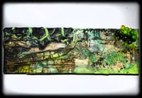 Image 1 of HazaRDous 3x9"