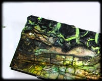 Image 5 of HazaRDous 3x9"