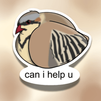 Image 3 of Moody Bird Sticker | Chubby Chukar with a Sassy 'Can I Help You'