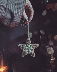 Star shell ornament 