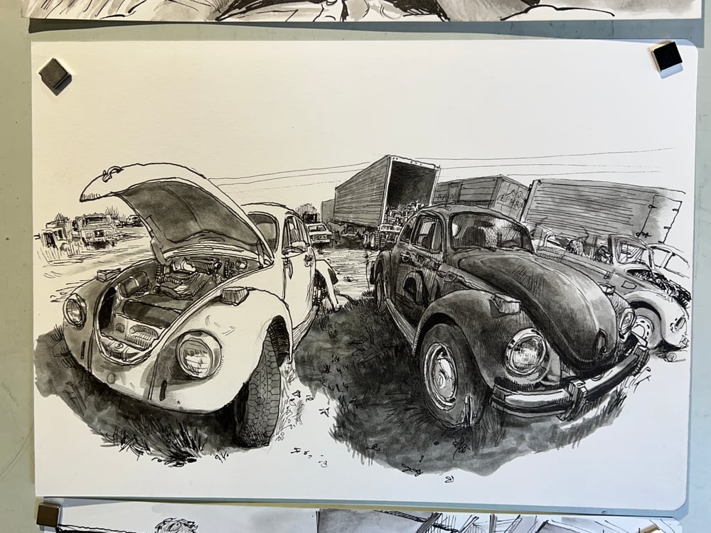 Beetles