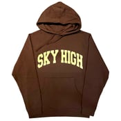 Image of COLLEGIATE LOGO BROWN HOODED SWEATSHIRT