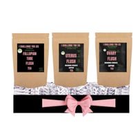 FREE SHIPPING-3 PACK PREGNANCY PREP KIT