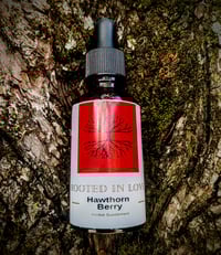 Hawthorn Berry 