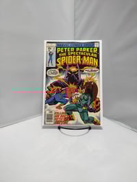 Peter Parker The Spectacular Spider-Man #14