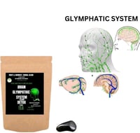 FREE SHIPPING-BRAIN GLYMPHATIC SYSTEM  DETOX CLEANSE FLUSH TEA 
