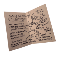 Image 3 of soda fountain syrups ⢠seasonal flavs!