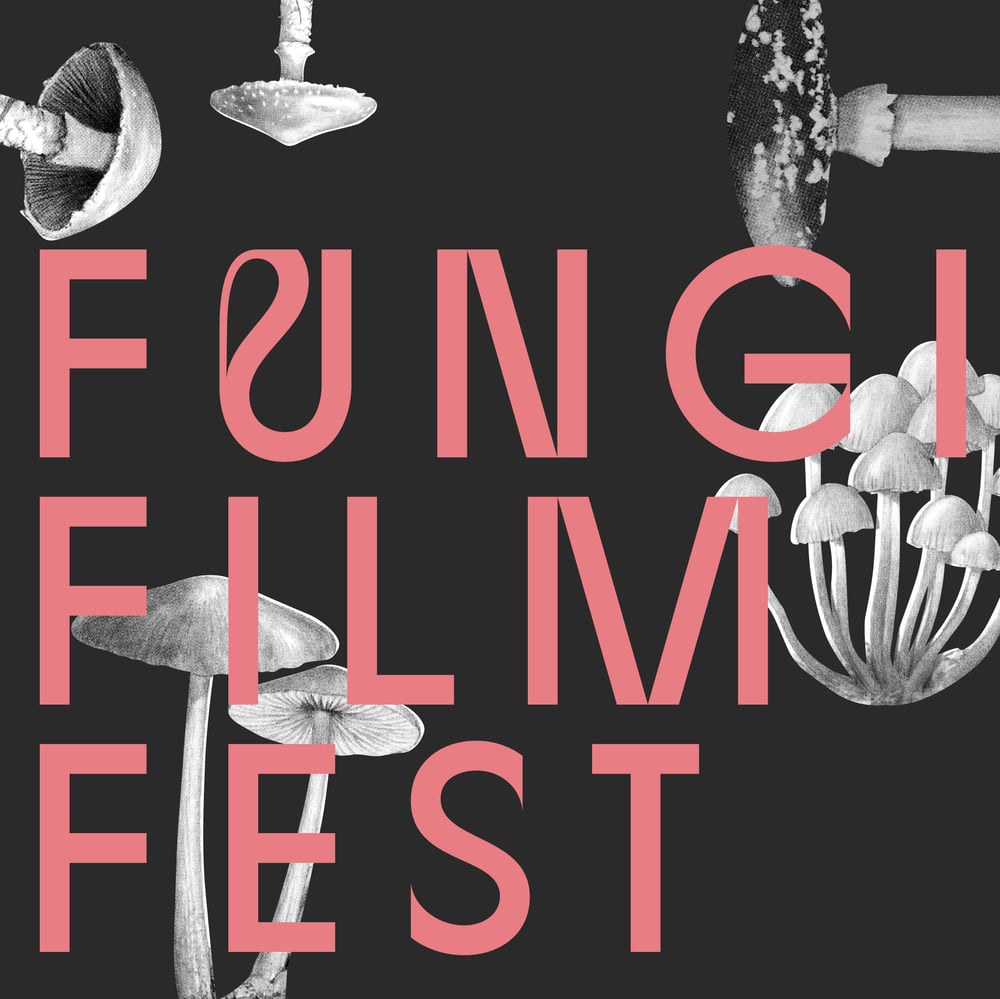 Image of Fungi Film Fest