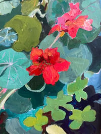 Image 2 of PRE-ORDER  Nasturtiums Number 4 - Archival Print