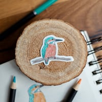 SATURNIN LE MARTIN PÊCHEUR