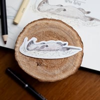 MONA LA LOUTRE